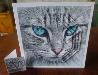 Furry Friends & Familiars - Cats - Beautiful & He Knows It + by Gill Dean
