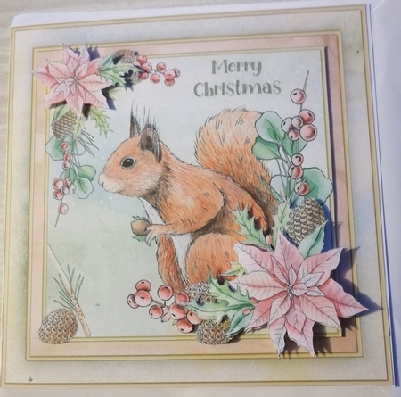 Squirrel Mini Kit by Gill Gardiner