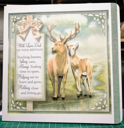 Animal Magic Bumper Kit by Gill Gardiner