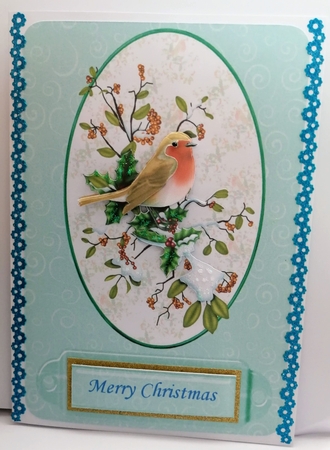 Framed Robin by Gill Gardiner