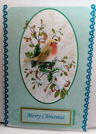 Framed Robin by Gill Gardiner
