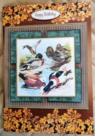 Mallard ducks birds sportsman birds outdoors fathers day birthday card for men male birthday by Gill Gardiner
