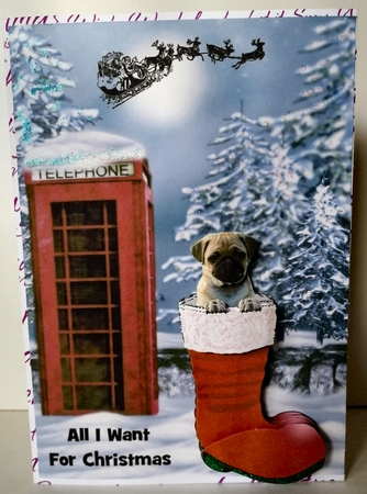 Pug In Santa Boot by Gill Gardiner