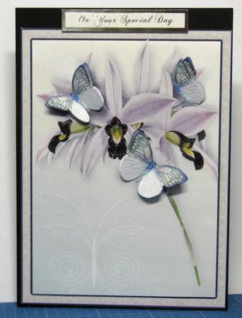 Butterflies and Orchids A4 by Gill Gardiner