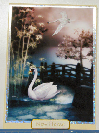 Swan Song a Touch of the Orient 2 by Gill Gardiner