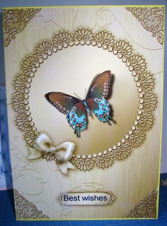 A4 Metallic Lace and Bow Card Fronts Kit by Gill Gardiner