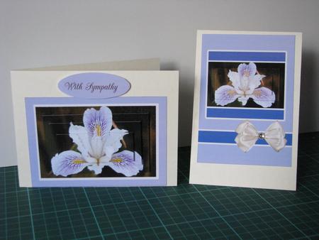 2 Card Sheet Iris Beauty Happy Birthday with Sympathy by Gill Gardiner