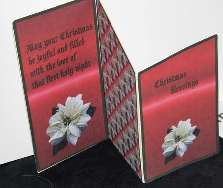 Christmas White Poinsettia by Gill Gardiner
