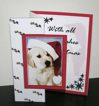 Christmas Puppy Fold Back by Gill Gardiner
