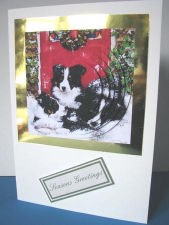 Dog Tired by Gill Gardiner
