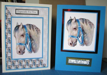 Horse Card Front by Gill Gardiner
