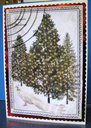 Festive Lights Rounded Corners by Gill Gardiner