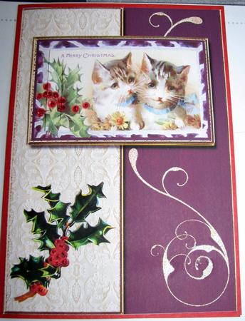 Kitten Christmas by Gill Gardiner