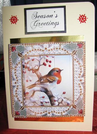 Robin 1 Lace One Edge Side Stacker by Gill Gardiner