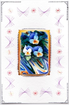 Photo Floral 1.5, Pansies Featured Gallery Photo
