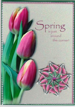 Tulips for Spring by Gill Middleton