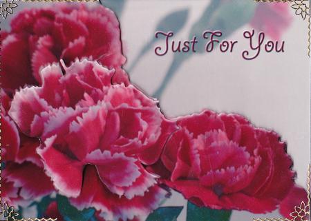 Carnations Card Front Plus - Just for You by Gill Middleton
