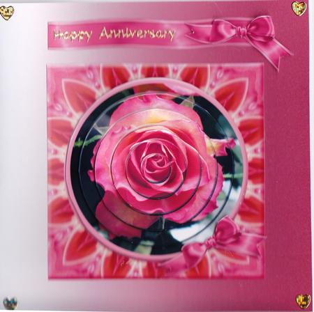 Rose Blush by Gill Middleton