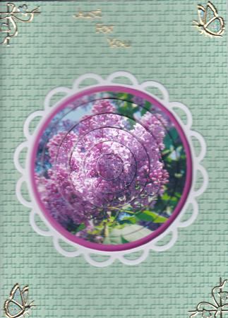 Circular Easy-position Pyramid - Lilac Time by Gill Middleton