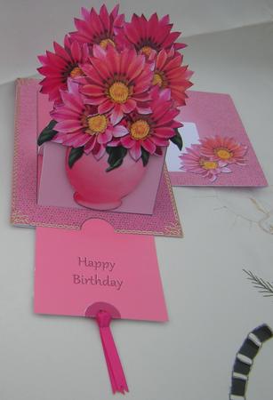 Slider-easel - Floral - Gazinnias Pink by Gill Middleton