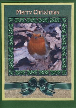 Christmas Robin with Holly Frame 1 by Gill Middleton