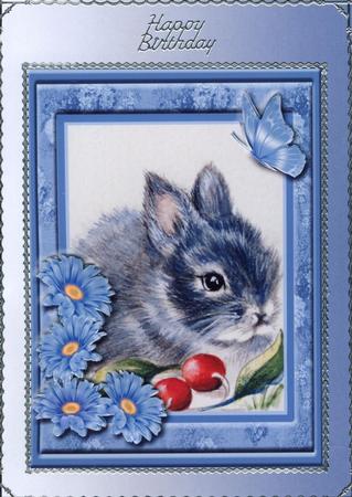 Rosie the Rabbit Decoupage Topper with Butterfly by Gill Middleton