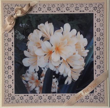 Ribbons and Lace - Lilies by Gill Middleton