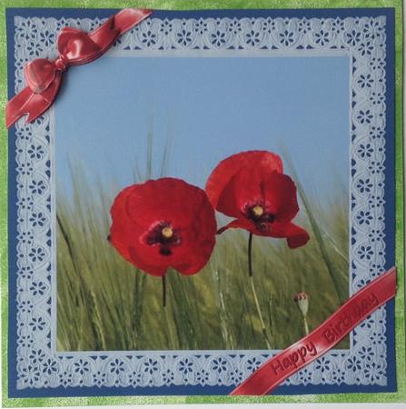 Ribbons and Lace - Poppies on Blue by Gill Middleton