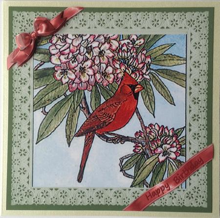 Ribbons and Lace - Cardinal by Gill Middleton