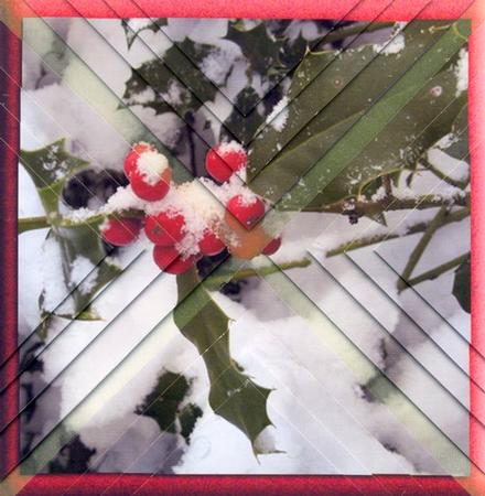 Holly Berries in the Snow - Shattered Pyramid by Gill Middleton