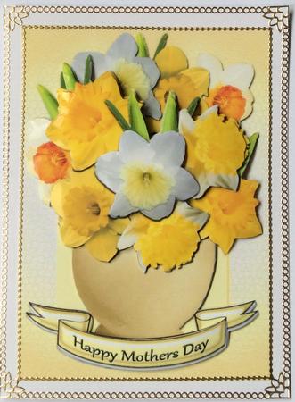 Daffodil Delight Mini Kit Featured Gallery Photo