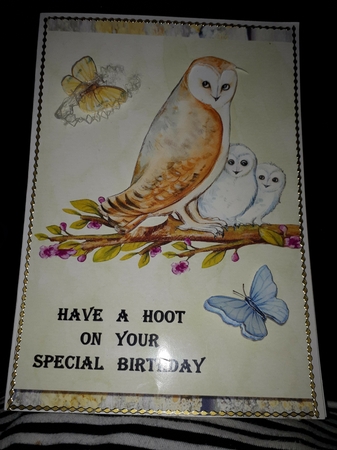 Birthday - Family Of Owls Featured Gallery Photo