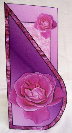 Pink Rose by Gillian Jenner