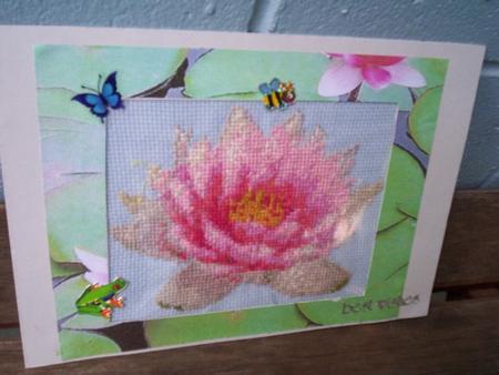 Lotus by Gillian Mahoney