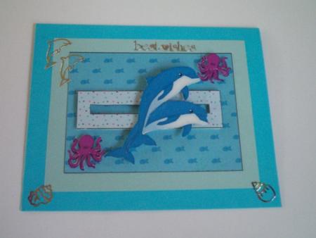 Dolphin Penny Slider by Gillian Mahoney