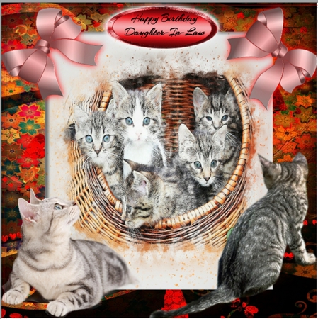 kittens galore by Gillian Sollis