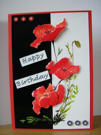 Hand Painted Poppys by Gillian Trewhella