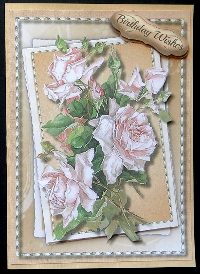 Beautiful French Roses Ina Stitched Frame  by Giselle Topper