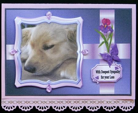 Dog Sympathy A4 by Giselle Topper
