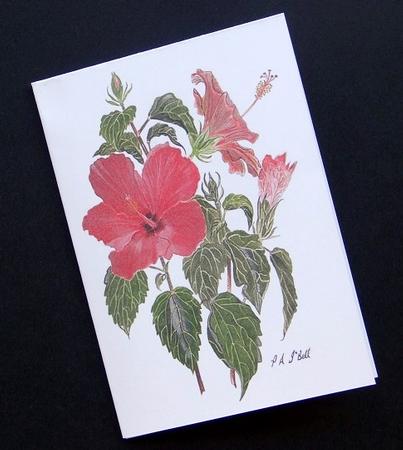 Hibiscus Watercolour Print & Fold Card - Sympathy by Giselle Topper