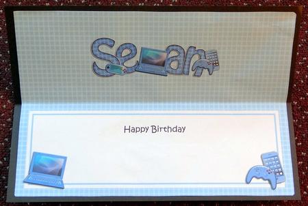 Birthday Sean Large Dl Matching Insert by Giselle Topper