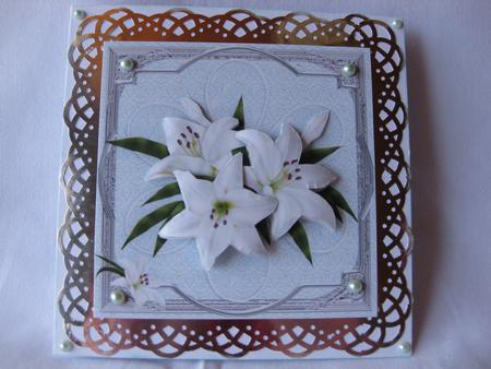 Flowers and Lace Lilies by Gitte Jensen