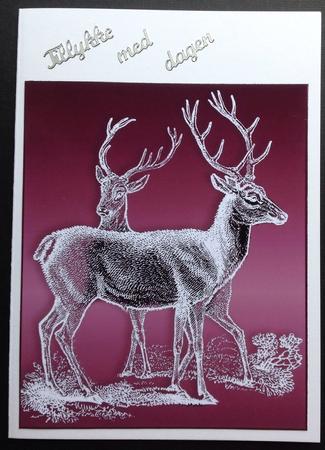 Frosted Stags by Gitte Jensen