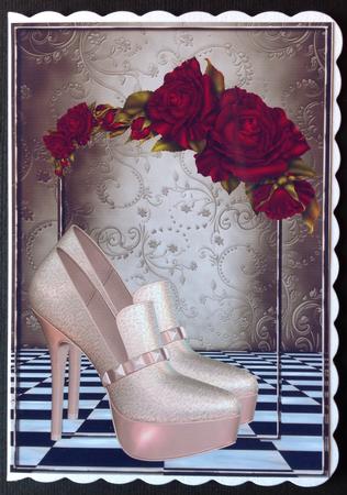 Fabulous Footwear - the Paris Collection by Gitte Jensen