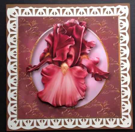 Beautiful Pink Bearded Iris with Decoupage by Gitte Jensen