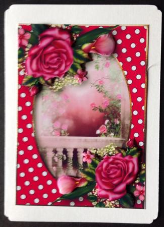 Pretty Pink Roses and Dotty Frame by Gitte Jensen