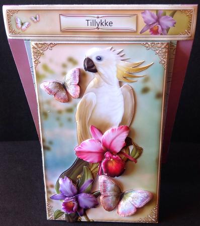 3 in 1 Feathered Friend by Gitte Jensen