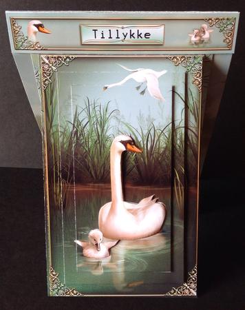 3 in 1 Swan Song by Gitte Jensen