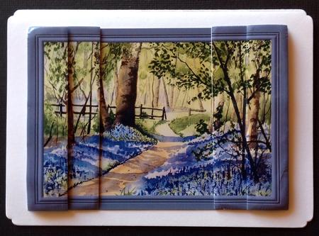 Bluebell Woods by Gitte Jensen