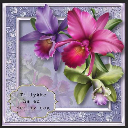 Gorgeous Tropical Orchids 8x8 Quick Topper by Gitte Jensen